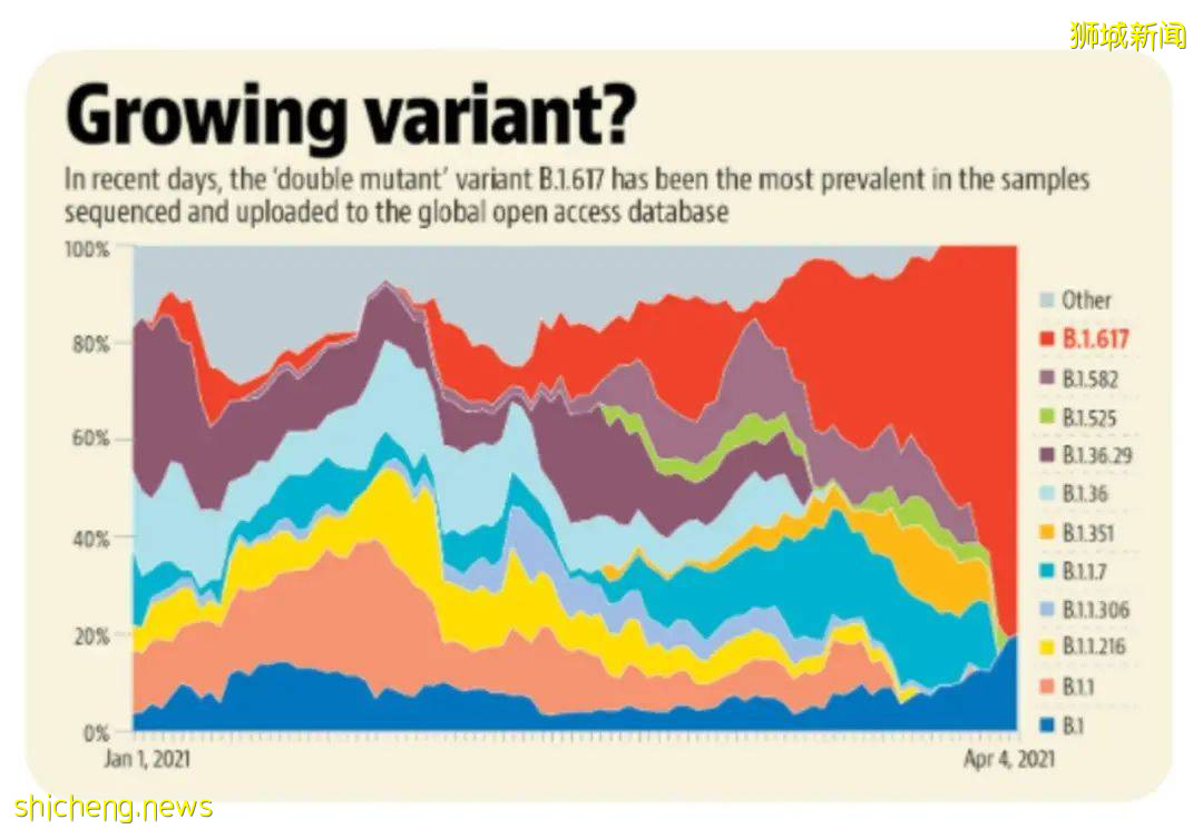 新加坡六分一新增社区病例因它而起，印度毒株更可怕