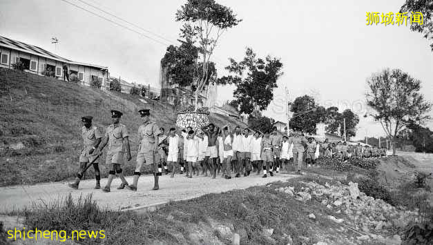 新加坡安乐岛,一个并不安乐的岛,揭开尘封已久的南洋往事