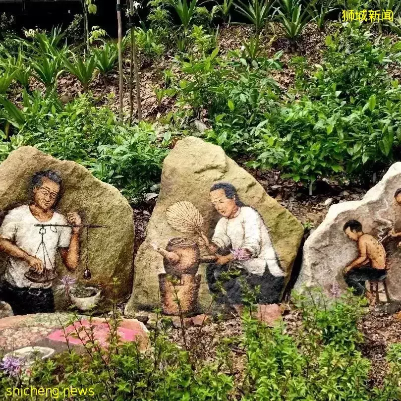 本周日！親子DIY盆栽、打卡越南網紅餐廳、了解新加坡曆史，搶位中