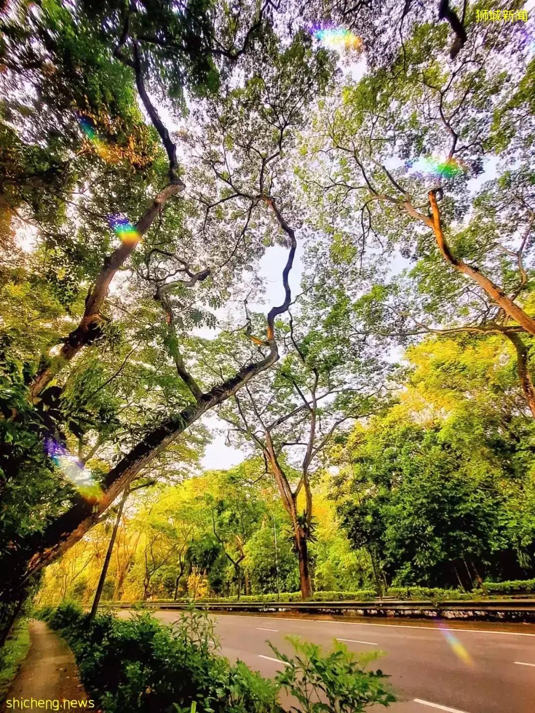 朋友圈刷屏！新加坡天空奇景再現，一波美圖襲來！太美了