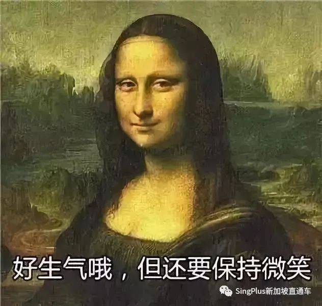 《新加坡高校留学生图鉴》