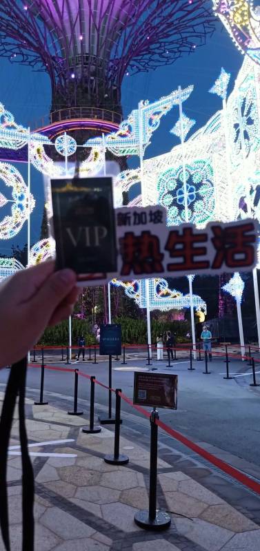 实拍！全世界都羡慕新加坡这个圣诞夜景！8个梦幻夜晚美炸了