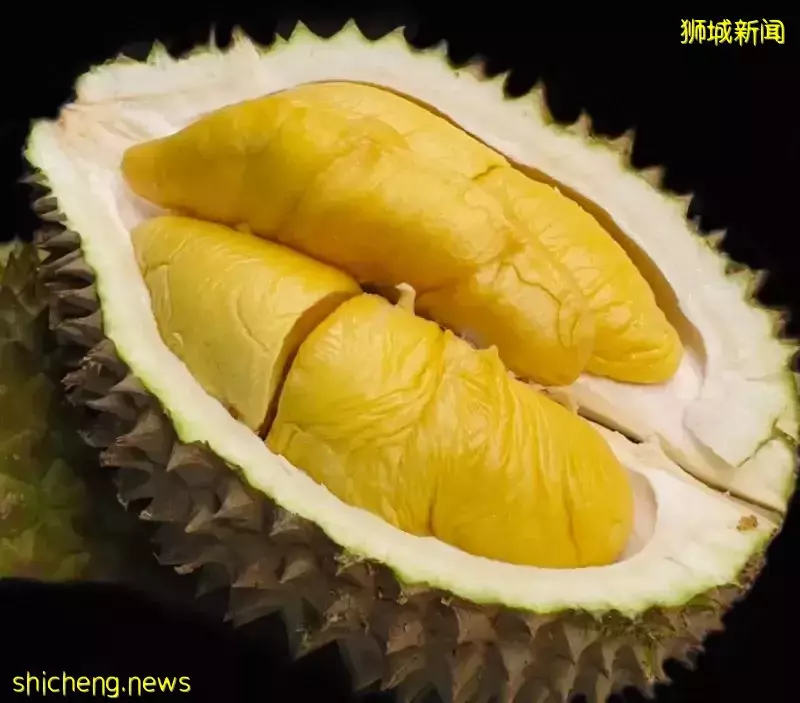 因爲減産,都漲價了!新加坡最火的11種榴梿價格表出爐