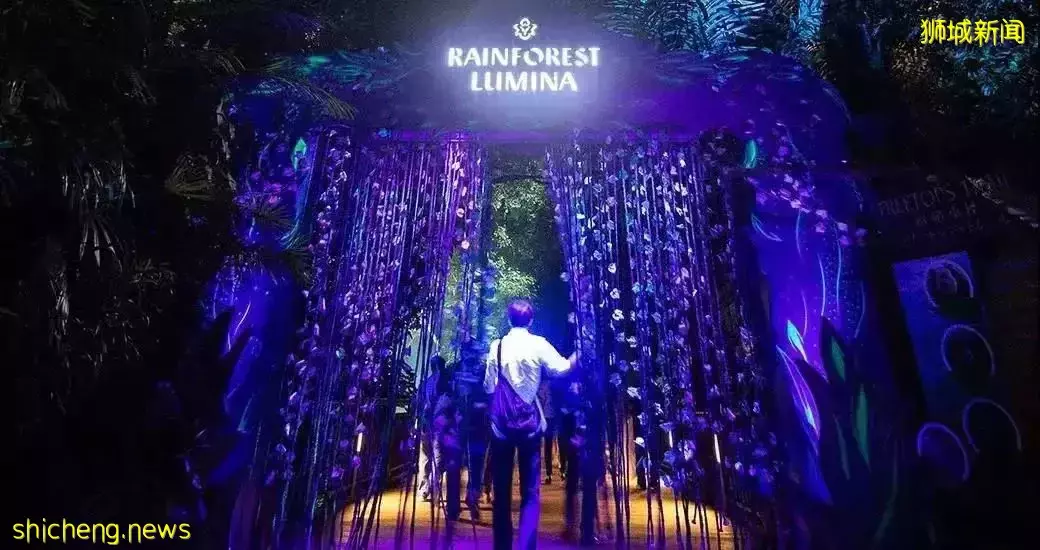 去新加坡旅遊，我保證你連機場都走不出去