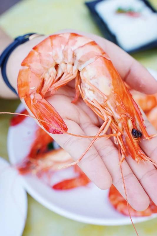 波士頓龍蝦免費吃!新加坡這家人均不過30的海鮮店又要逆天了