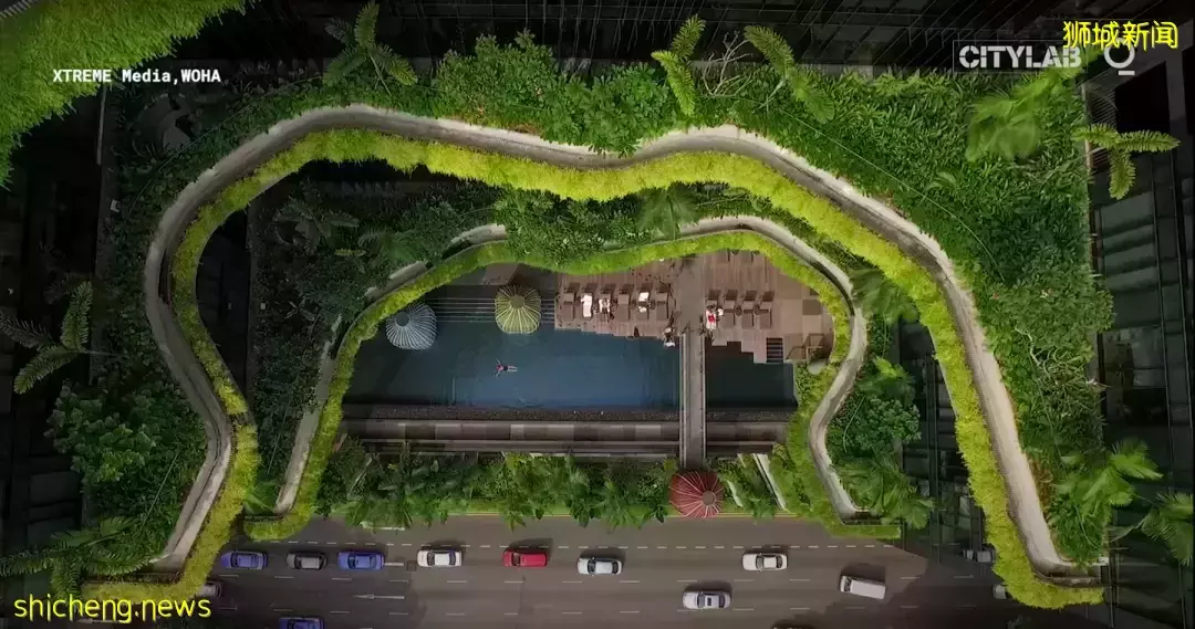 天氣太熱，新加坡開展“冷卻新加坡計劃”