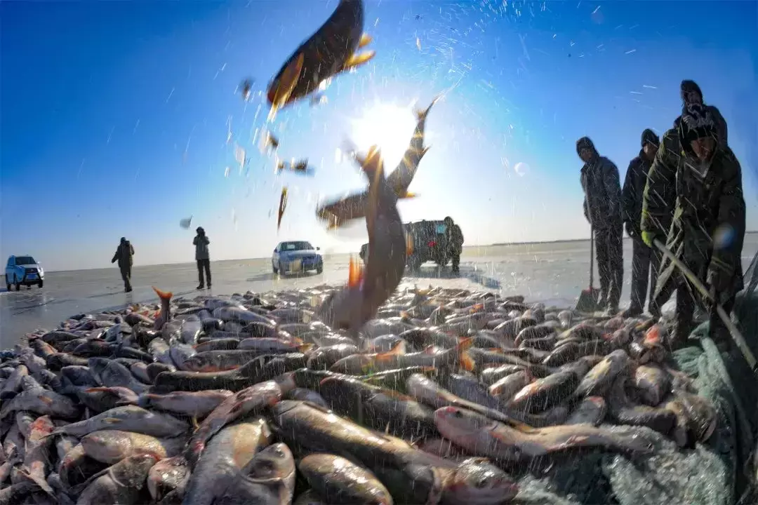 “黑龍江非常冰雪之旅”在新加坡上線