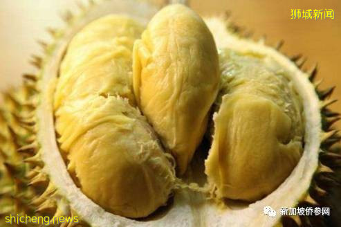 新加坡華語規範情與理，榴梿、榴梿，留哪