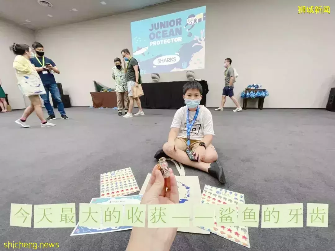 “从来没发现海洋馆这么好玩,我家娃竟然还拿到了鲨鱼的牙齿!”
