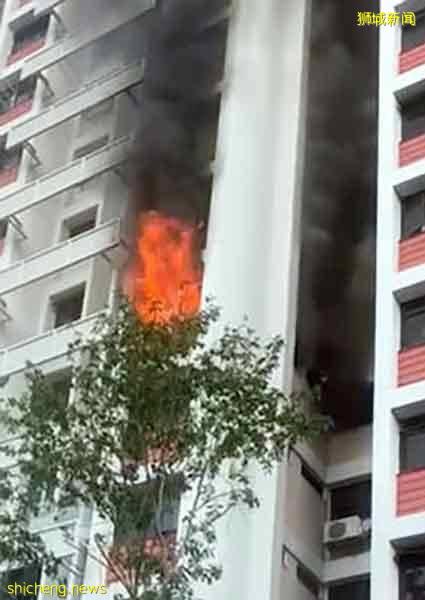 住家起火   屋主冲入火场 救猫