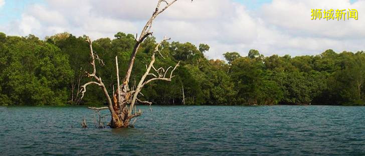 新加坡“惡勢力”源頭所在的“寶藏地”在哪裏