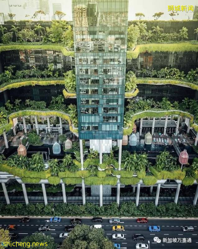 美如畫卷的新加坡，等你來!