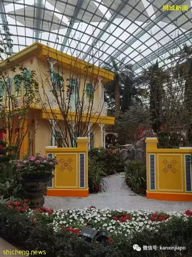 探访新加坡最美花园,只可惜这里的牡丹似乎缺少了点野性