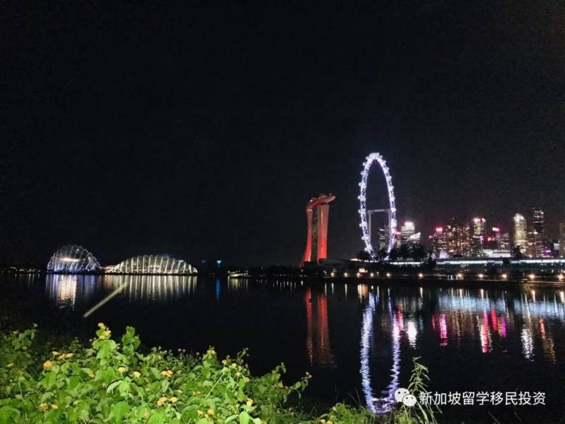 【資産配置+移民資訊】在設立新加坡家族辦公室的優勢和功能您了解嗎