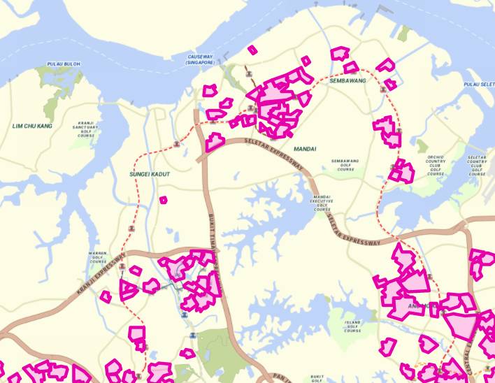 新加坡登革热又双叒叕变严重了!这五个区感染最严重