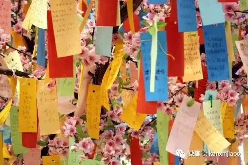 进入虎年开始倒计时,昨晚举行牛车水新年亮灯仪式