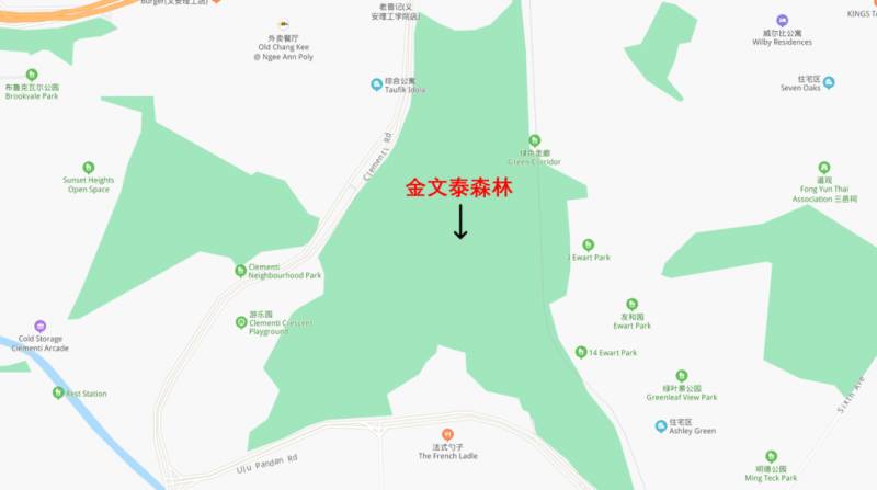 隐藏多年在金文泰的仙境,竟是新加坡面积第二大次森林