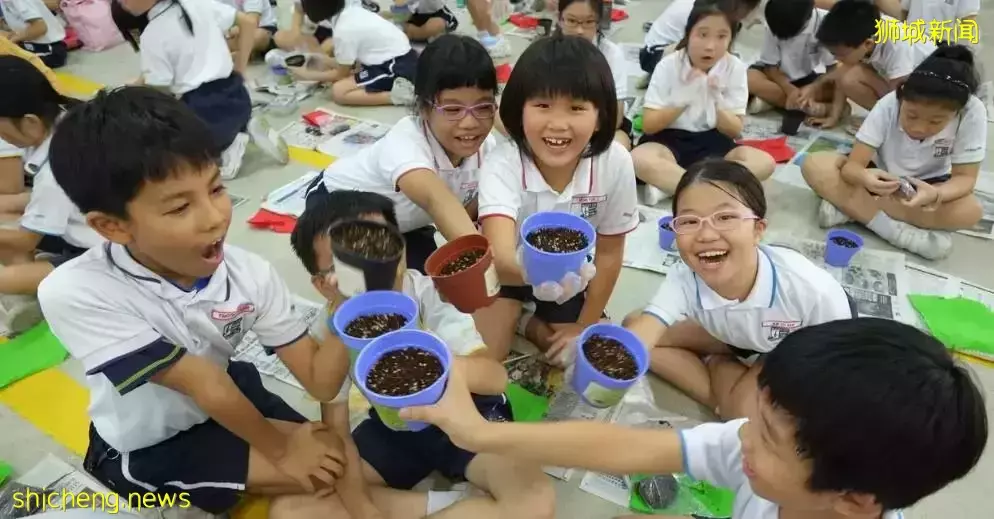种地要从娃娃抓起！今年新加坡三年级学生将获得种植套件和两包种子