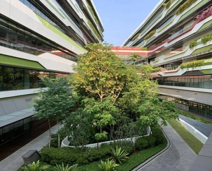 新加坡最新調查顯示好環境有利學習，新加坡的大學環境如何