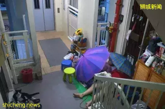 实地探访，新加坡最吓人的组屋，到底有什么玄妙