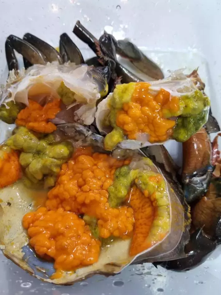 賣到25新幣/碗的神仙炒飯！新加坡炒飯界的頂流天花板【陳福記】重出江湖