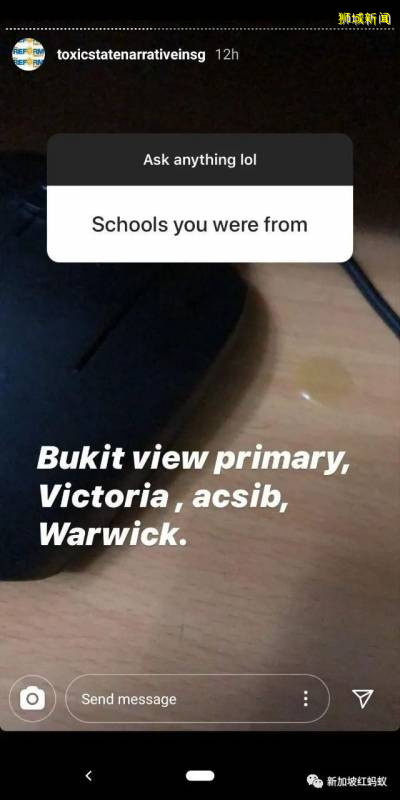 革新黨楊兄弟成了獅城新晉網紅，當年華語口試成績考A2特優