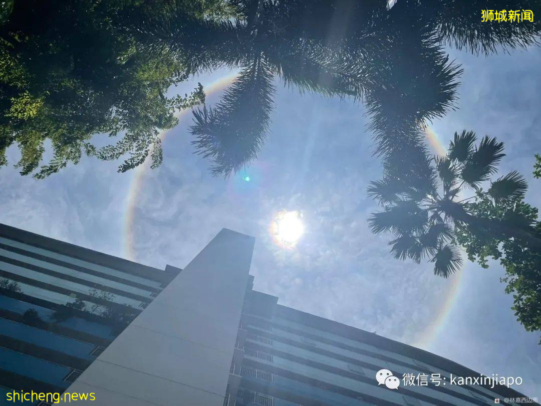 罕见!新加坡出现日晕,祥瑞之兆