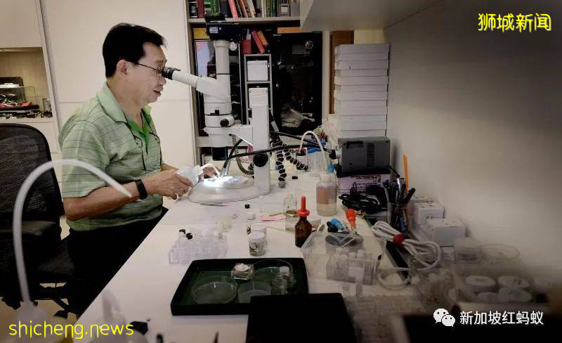 他是外交家也是昆蟲專家 新加坡的“蜘蛛俠”獲頒環境最高獎