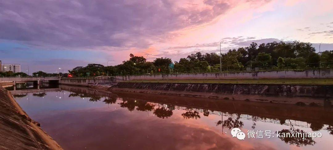 新加坡清晨出現粉紫色“神仙”天空!大波美圖驚豔全島