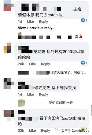 “不可能”的任务！新加坡网友重赏2000新币，只为了寻回心爱的它