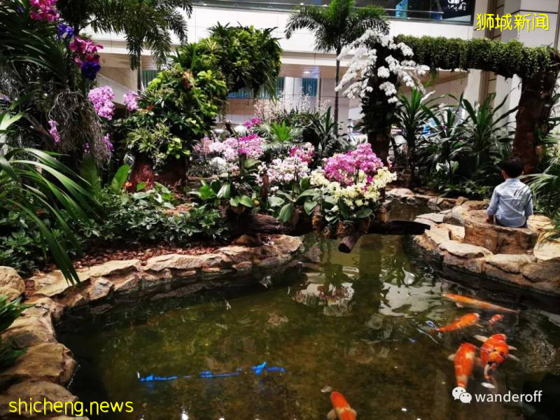 新加坡-網紅景點拍照篇!