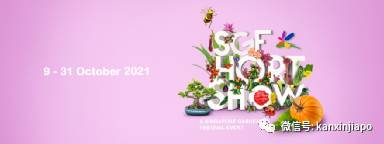 【下周活动】雪糕买一送一、单人火锅$9.9起、黛珂精华液买一送三