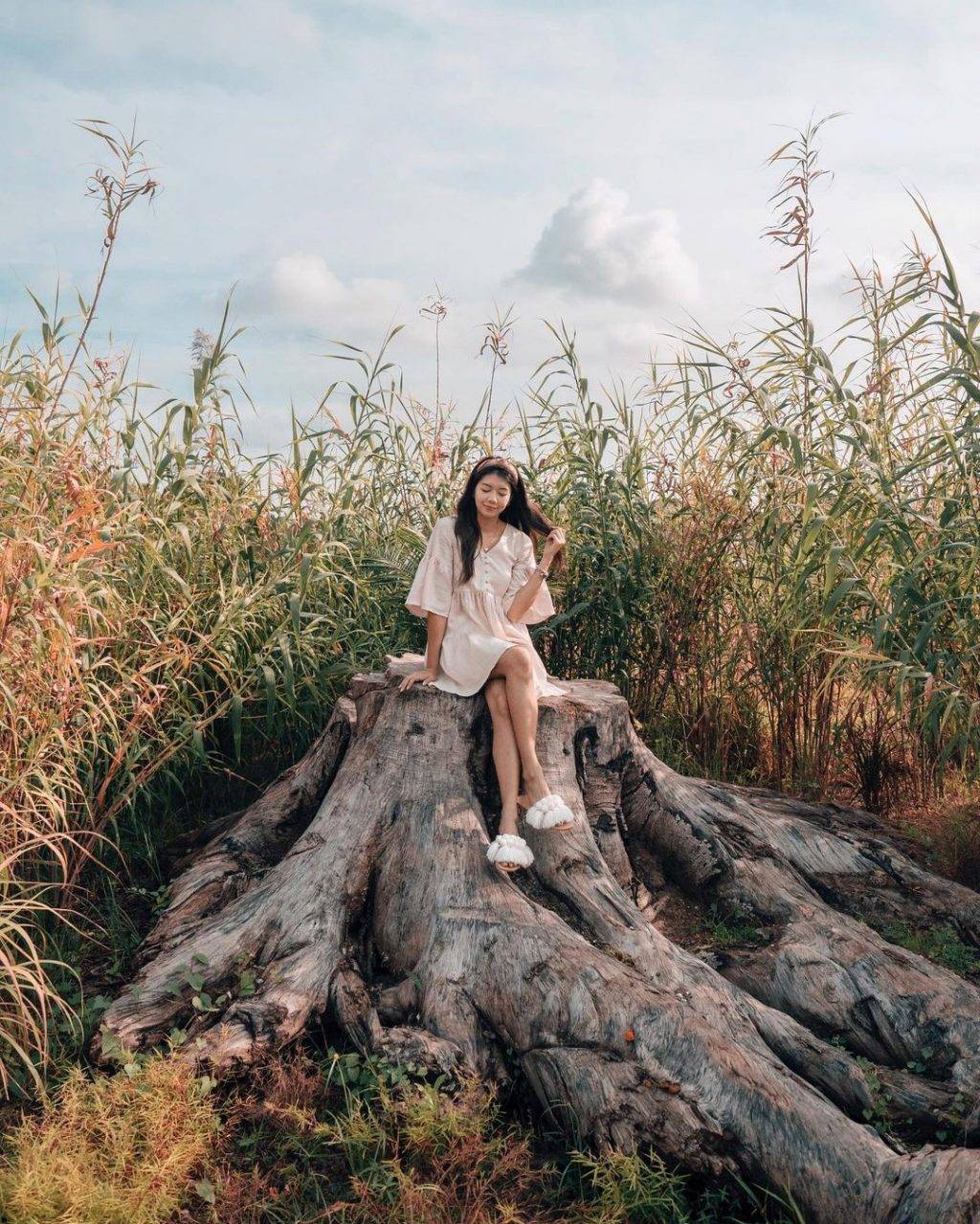 惬意悠閑“木板路”合集!新加坡11大自然景區⭐️ 林間漫步攻略+絕美海濱棧道