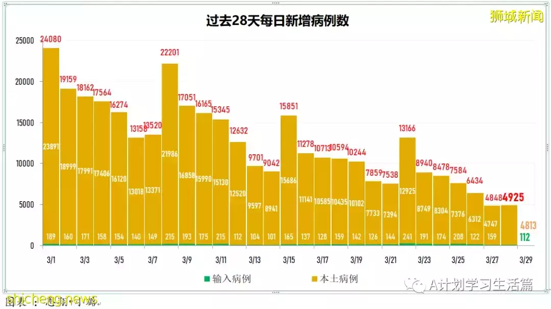 新增8164起,目前住院病患728人;新加坡接種冠病疫苗後疑似不良反應繼續維持在低水平