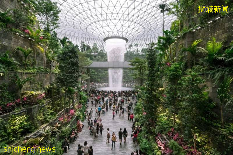 入境新加坡不需要隔離,你敢來嗎