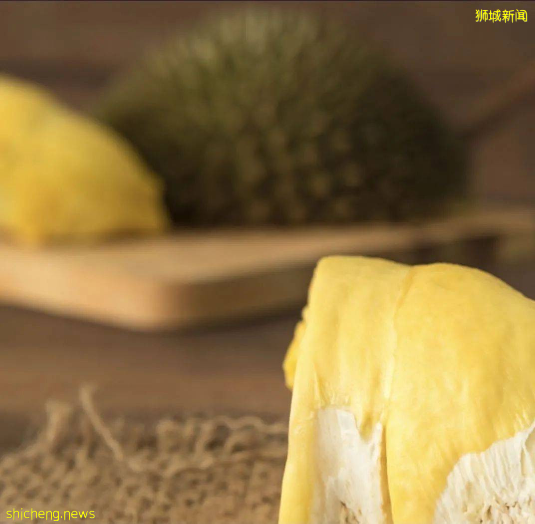 吐血整理！新加坡這20家榴梿太香了！S$11起