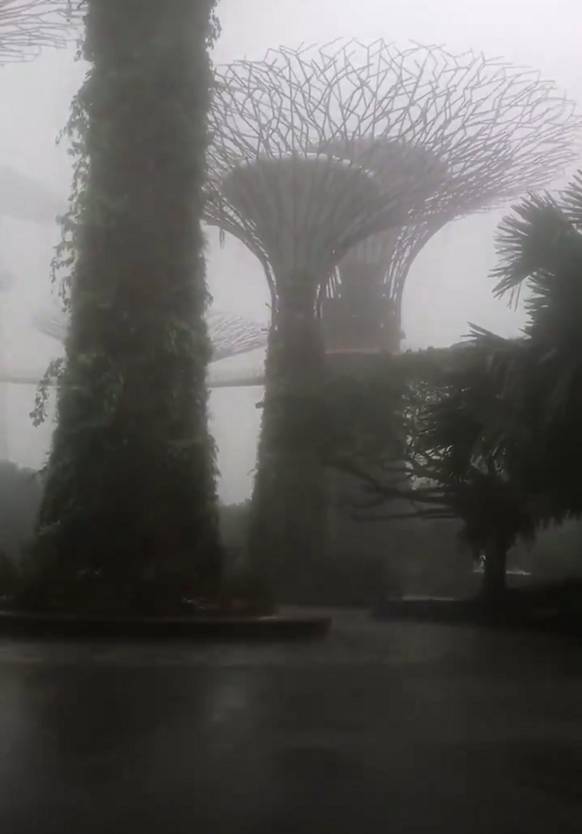 昨天!新加坡遭40年来最强暴雨袭击,全岛多处被洪水淹没,驾车犹如水中行船