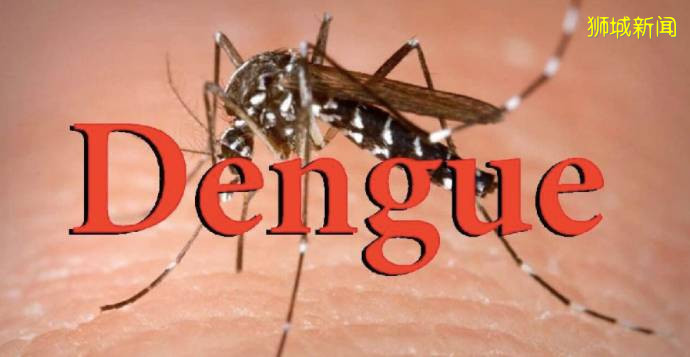 家人群爆了！“新加坡登革熱疫情史上最嚴重” 登上微博熱搜