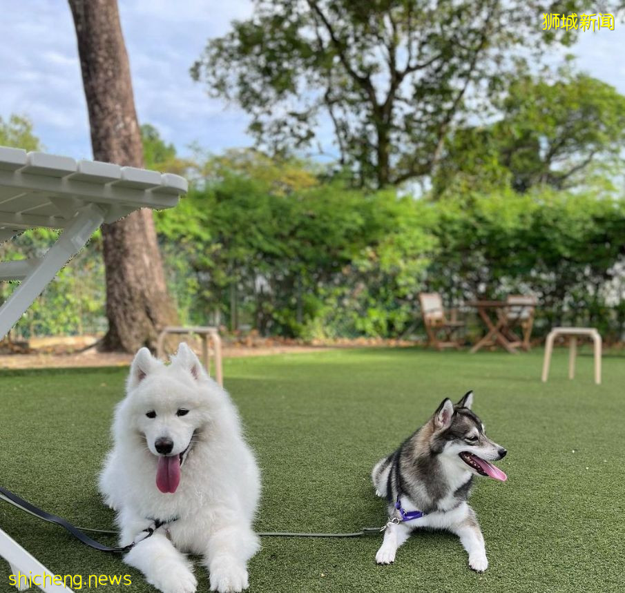 Flurish Bakehouse 歡迎你 當然也歡迎你的寵物