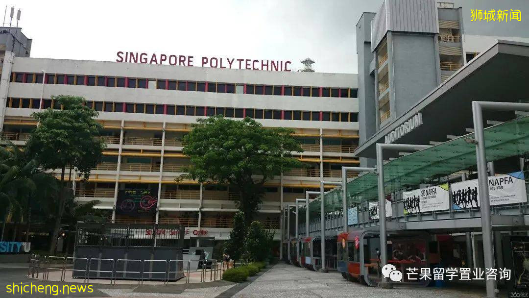 了解新加坡公立/私立/國際學校、理工/藝術/教育模式