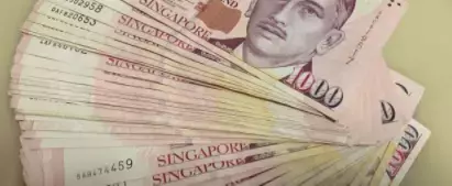 三名中国商人联合起诉!有人花10万新币,也没拿到新加坡PR