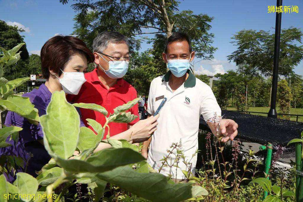 新加坡武吉甘柏公園開幕，蝴蝶園、遛狗場、山丘步道，登高遠眺好去處