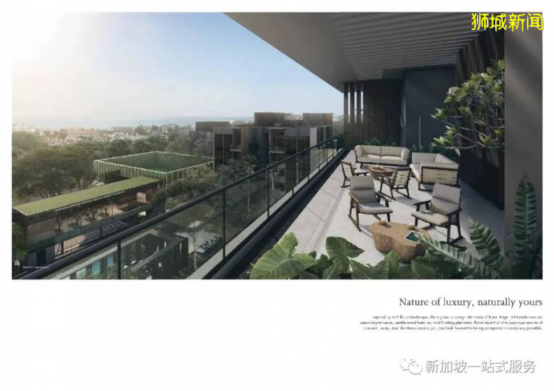 新加坡大學優勢和申請新