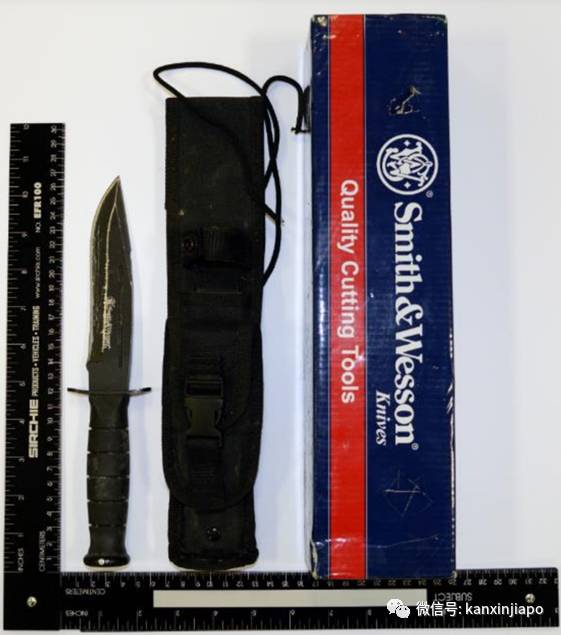 新加坡揪出恐怖分子，竟是服役中的20岁阿兵哥