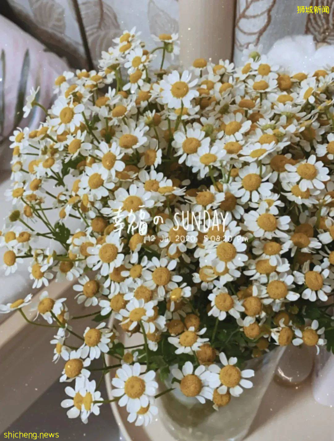 狮城5月公共假期去哪玩,攻略都在这里了