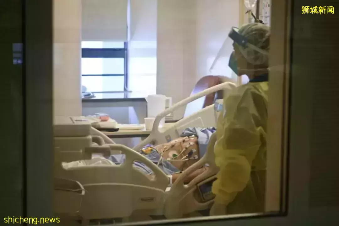 新加坡疫情 过去6天新增3万+,春节假期面临又一轮病例高峰