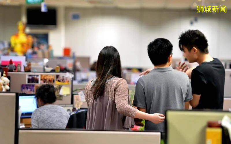 狮城毕业后,你会选择留新、回国还是继续学习深造?他们是这样说的