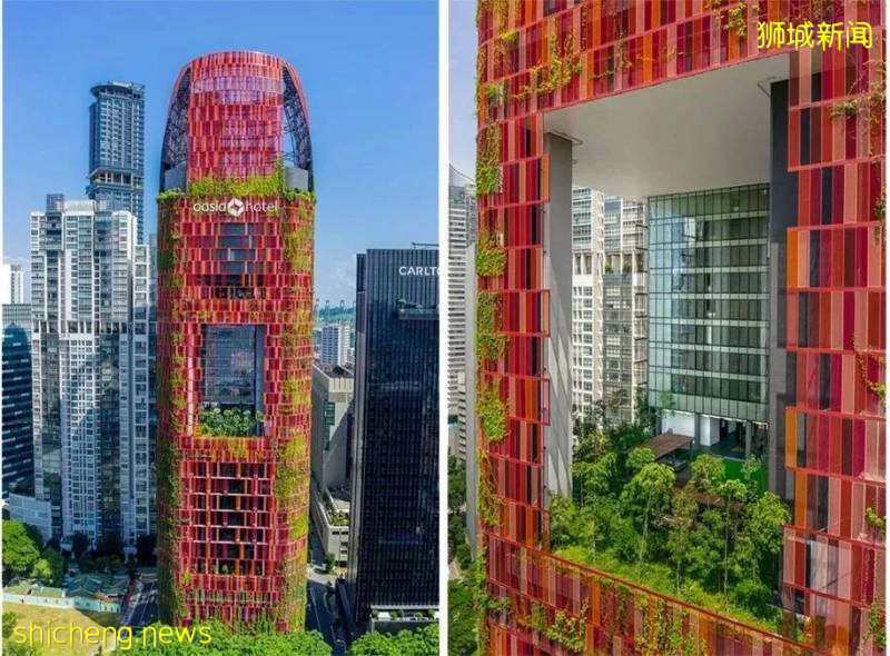 新加坡是怎样一步步成为“花园城市”的!