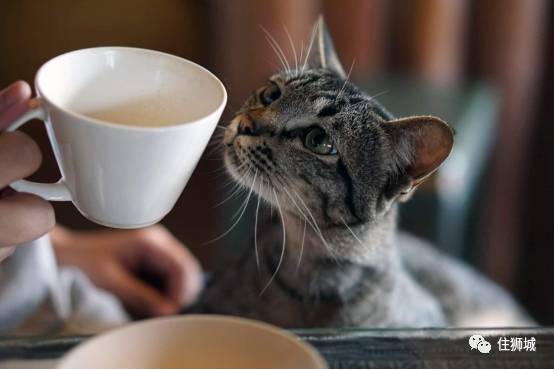 新加坡驳船码头5佳夜生活体验推荐