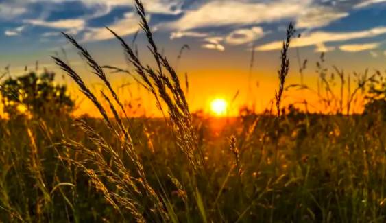 玩在獅城 周末一起去大自然裏野餐——新加坡最適合野餐的十大自然公園